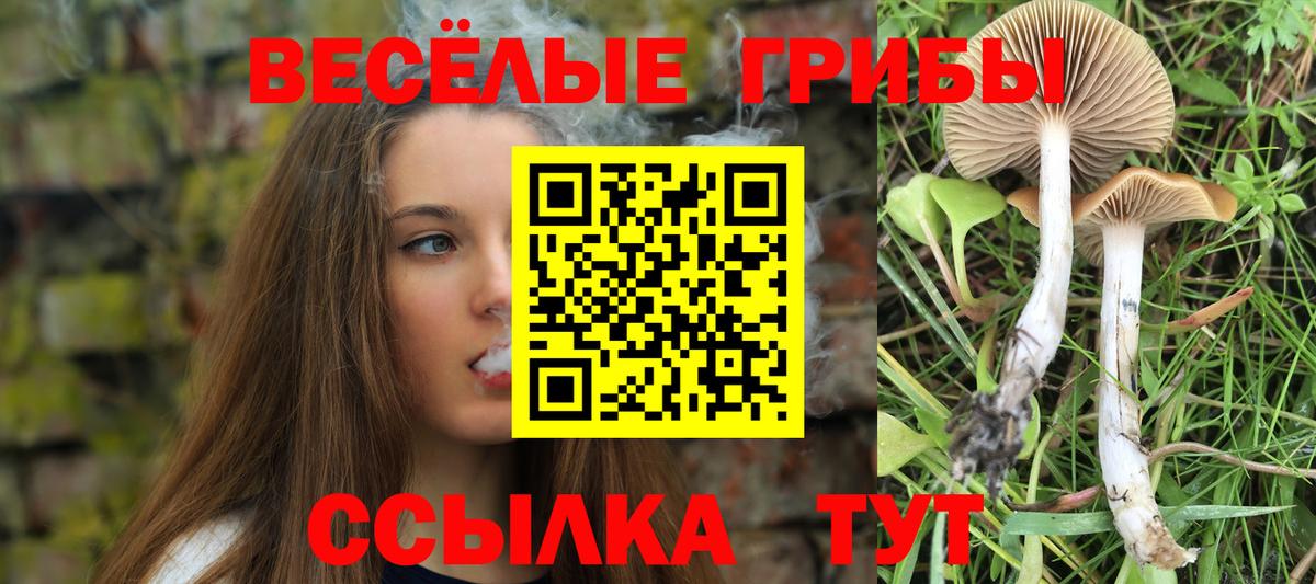 Галлюциногенные грибы Magic Shrooms  Псилоцибиновые грибы мухоморы  Вход с VPN  Юрга 