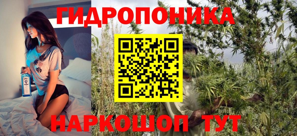 Бошки Шишки White Widow  Вход с VPN  Каннабис SATIVA & INDICA  Юрга  Шишки марихуана White Widow  Бошки марихуана тримм 